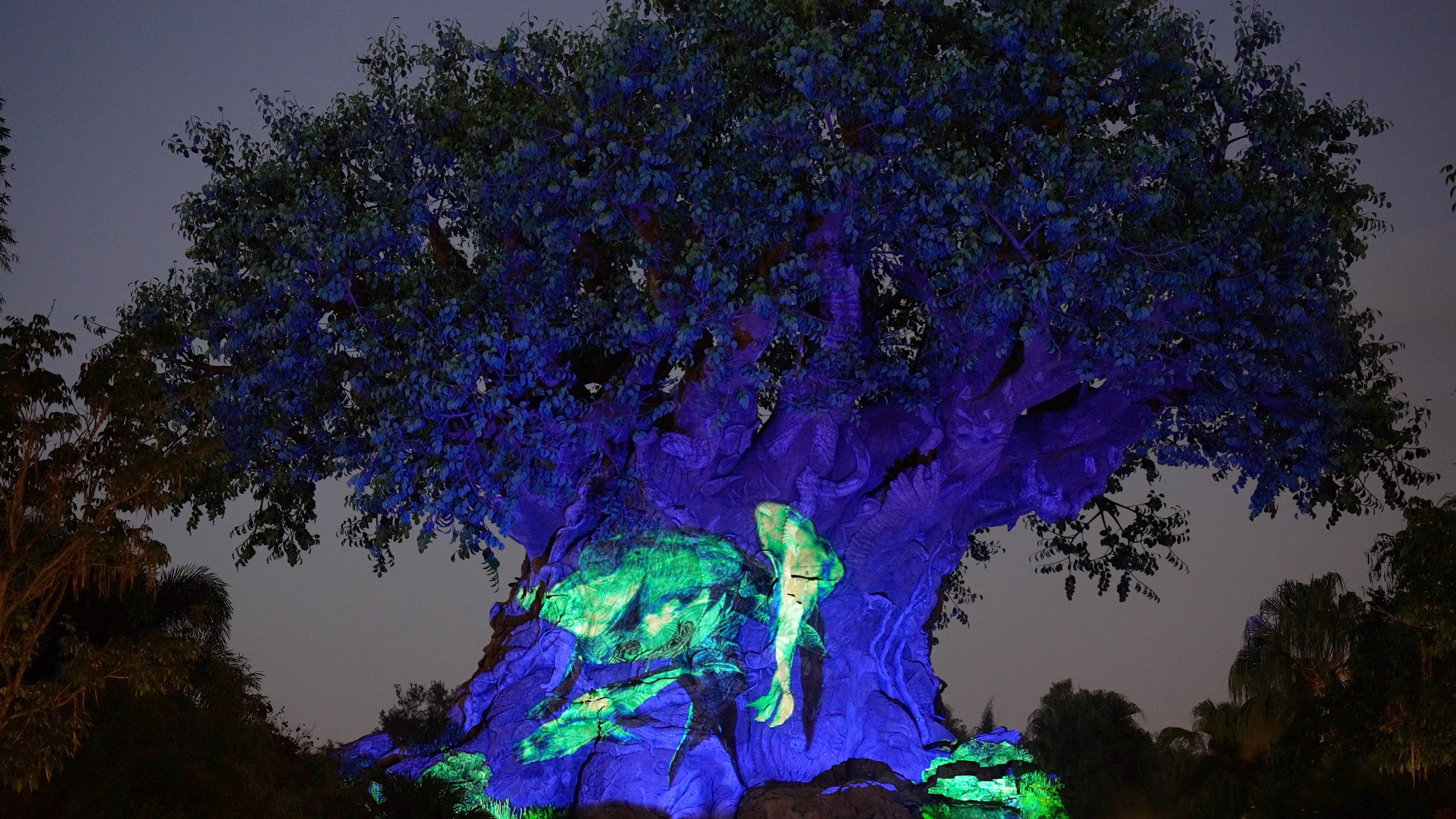 Pandora The World of Avatar at night at Disney Worlds Animal Kingdom   Orlando Informer
